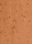 8671_12_Arte-Tapete-Stellar-37523A-95822