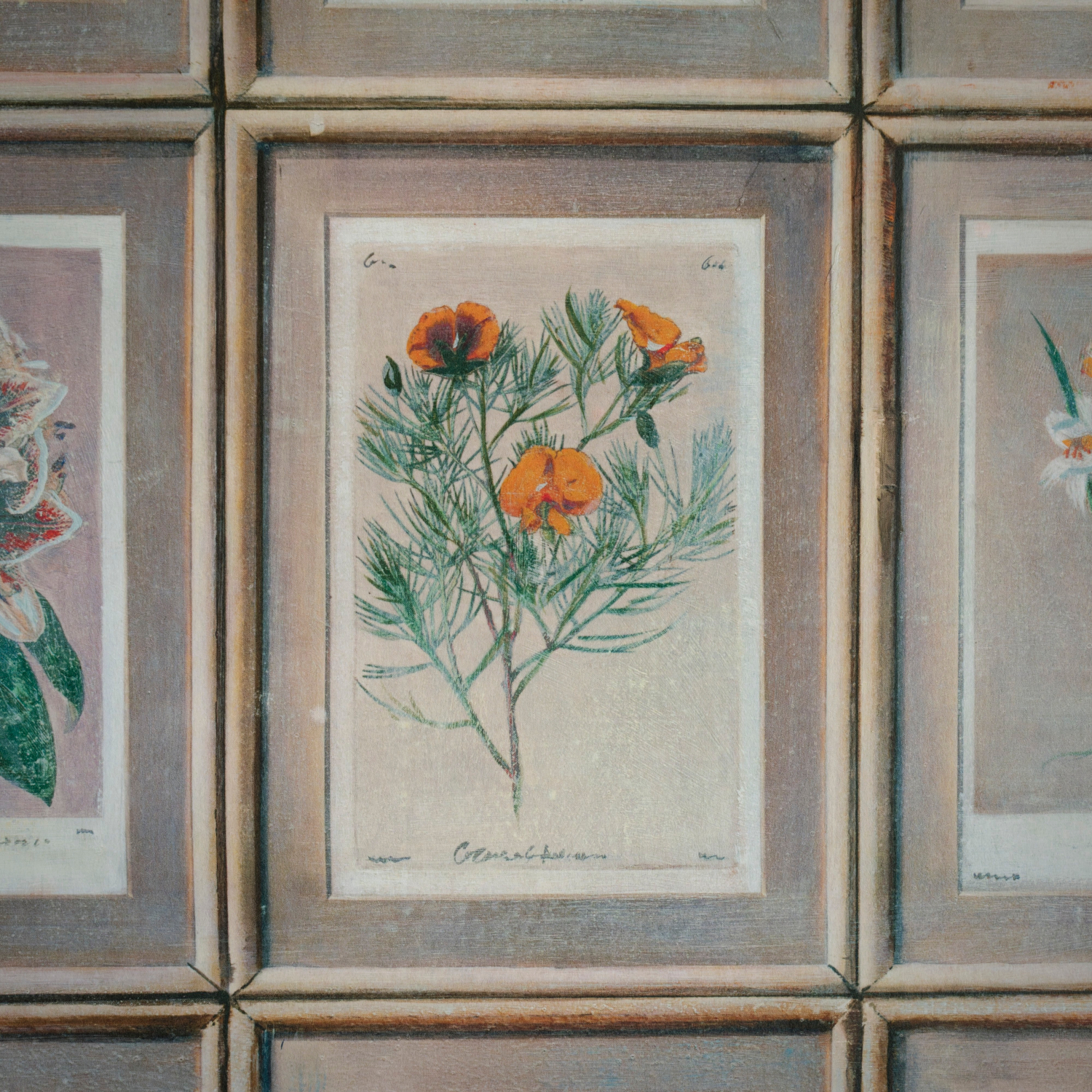 Tapete Floral - Curafl