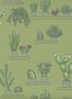 19153_02_Little_Greene_Mr_Straws_Greenhouse_0234SGGARDE-195405