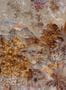 8581-2-Coordonne-Wandbild-Glass-7800991-75241