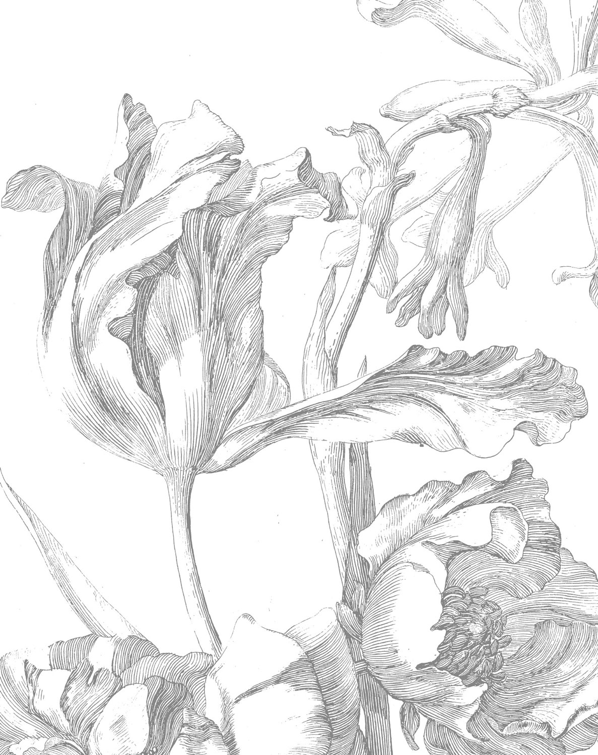 Wandbild Engraved Flowers 4 - XS