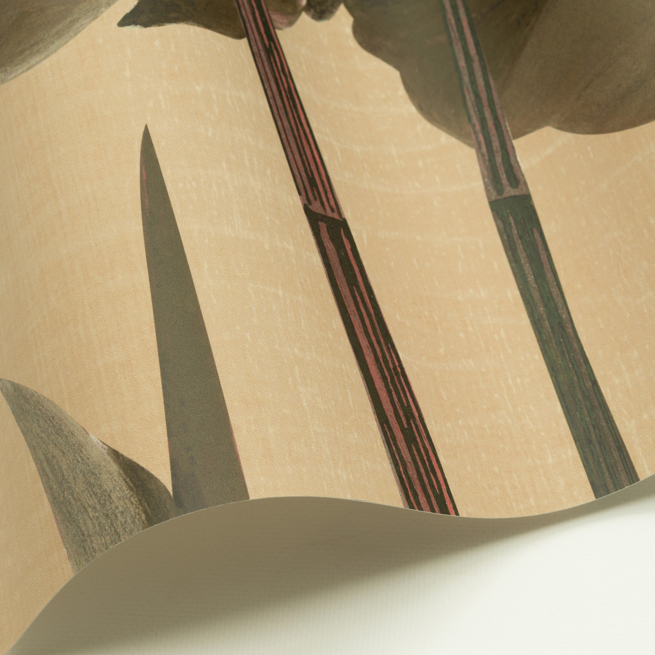 Wandbild Naiades - PAN200