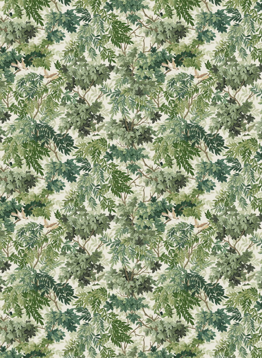 Wallpaper Les Oiseaux - Aube