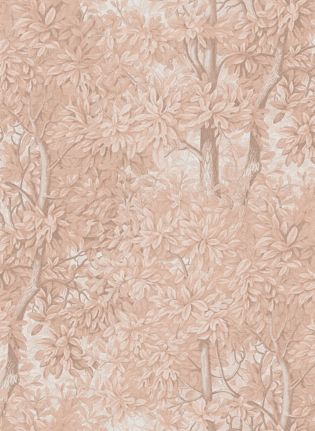Tapete Charles - Blush