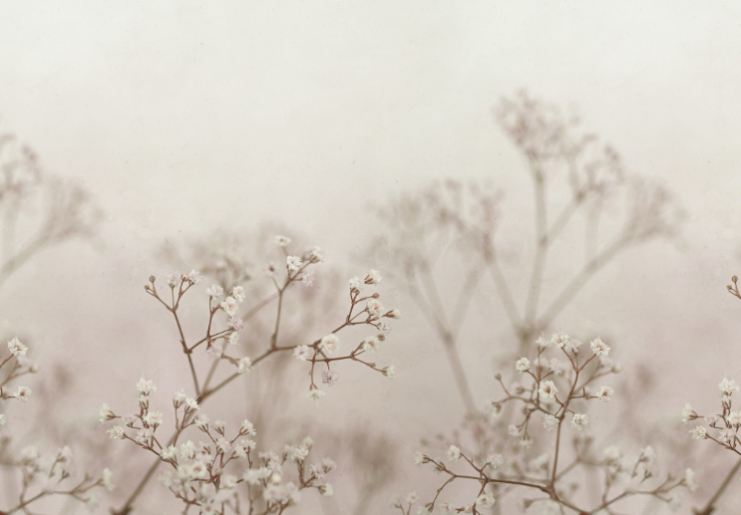Wandbild Julia - Blush