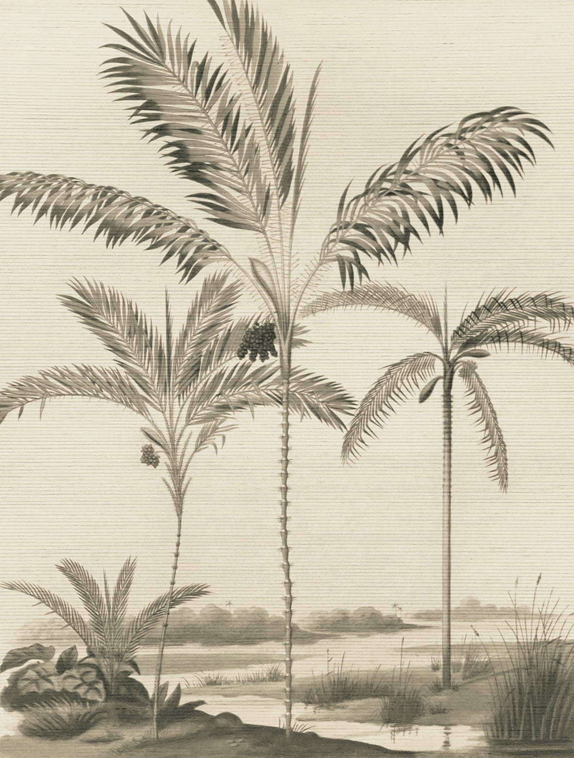 Wandbild Palm Portrait - Black/ White