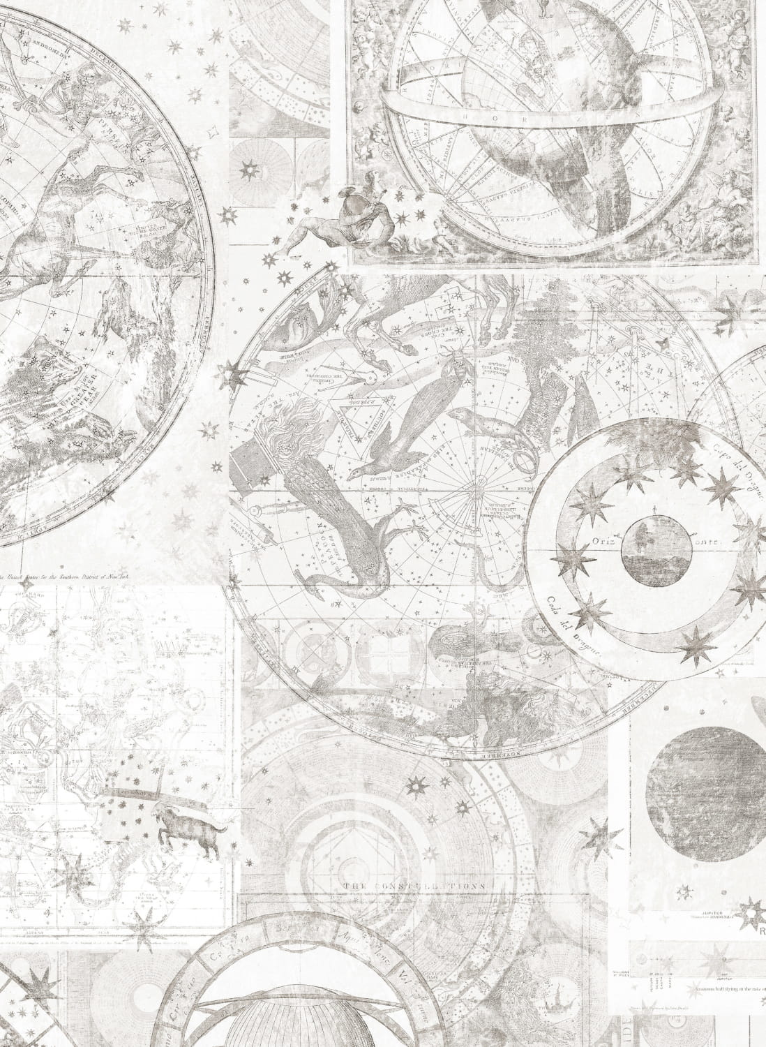 Mural Vintage Star Map