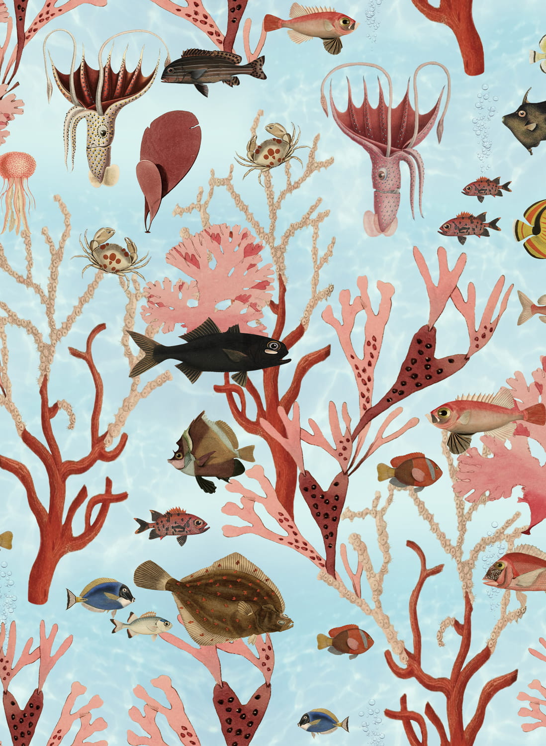 Tapete Aquarium - Mint