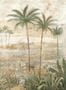 17037_1_Coordonné_Draa_Palms_B00452B-144436