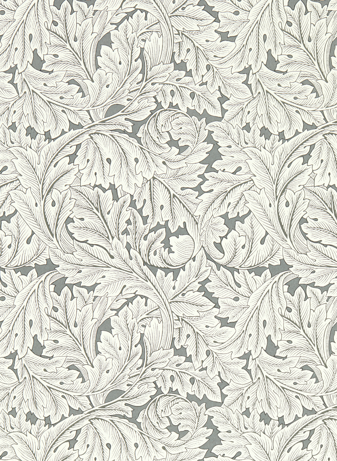 Tapete Acanthus - Slate