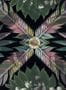 6735_1_Christian_Lacroix_Feather_Park_PCL7042-01-85045