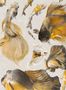4109_2_mindthegap_goldfisch_wp20302-31918