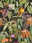 9504_9_Coordonne_Parrots_9900009N-93949