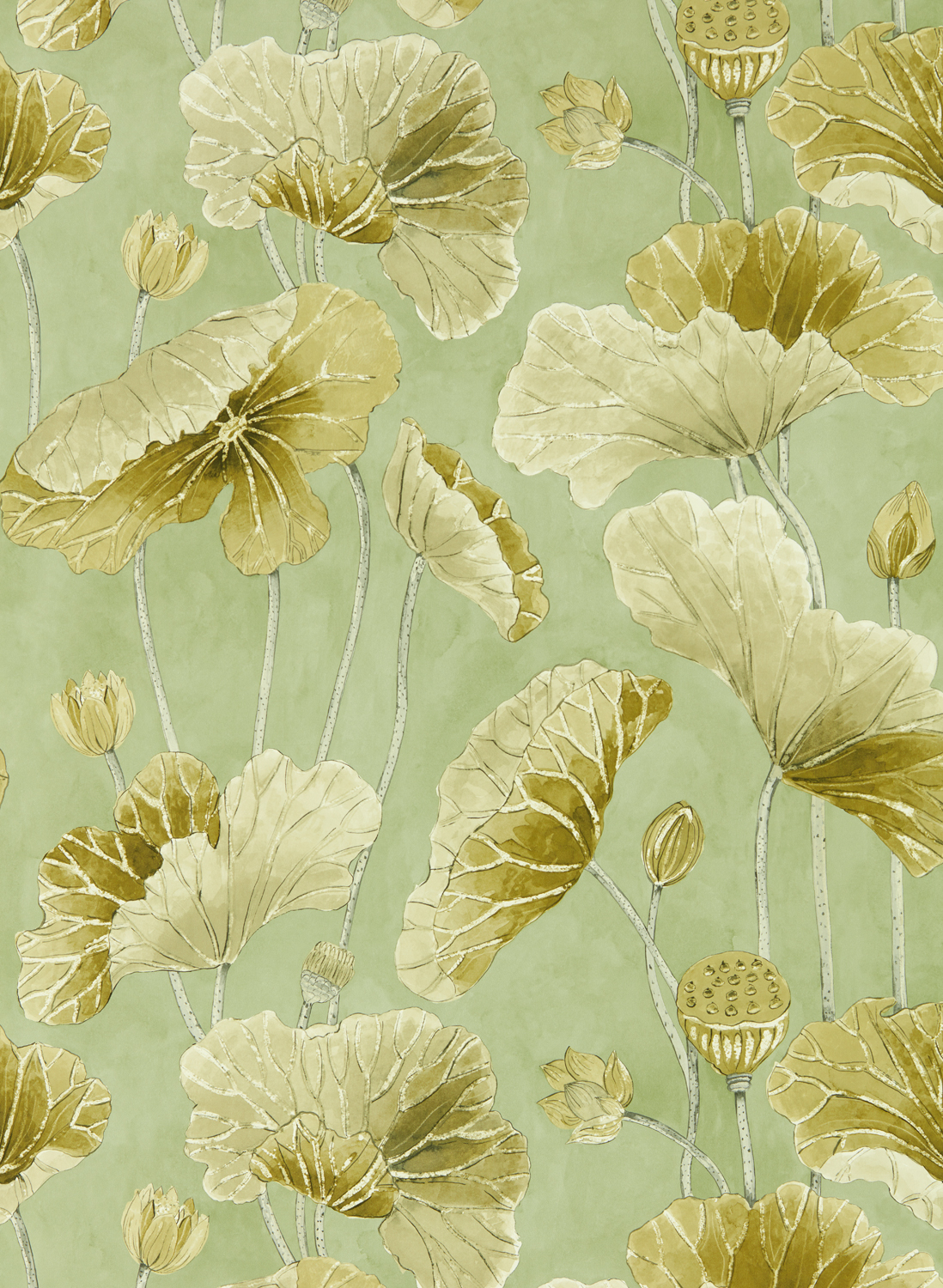Tapete Lotus Leaf - Oriental Green/ Olive