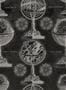 3168_2_mindthegap_armillary_wp20030-28604