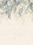 18012_01_Sandberg_Wisteria_S10656-156112