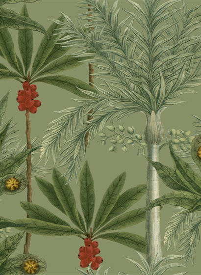 Papier peint Madagascar - WP20520