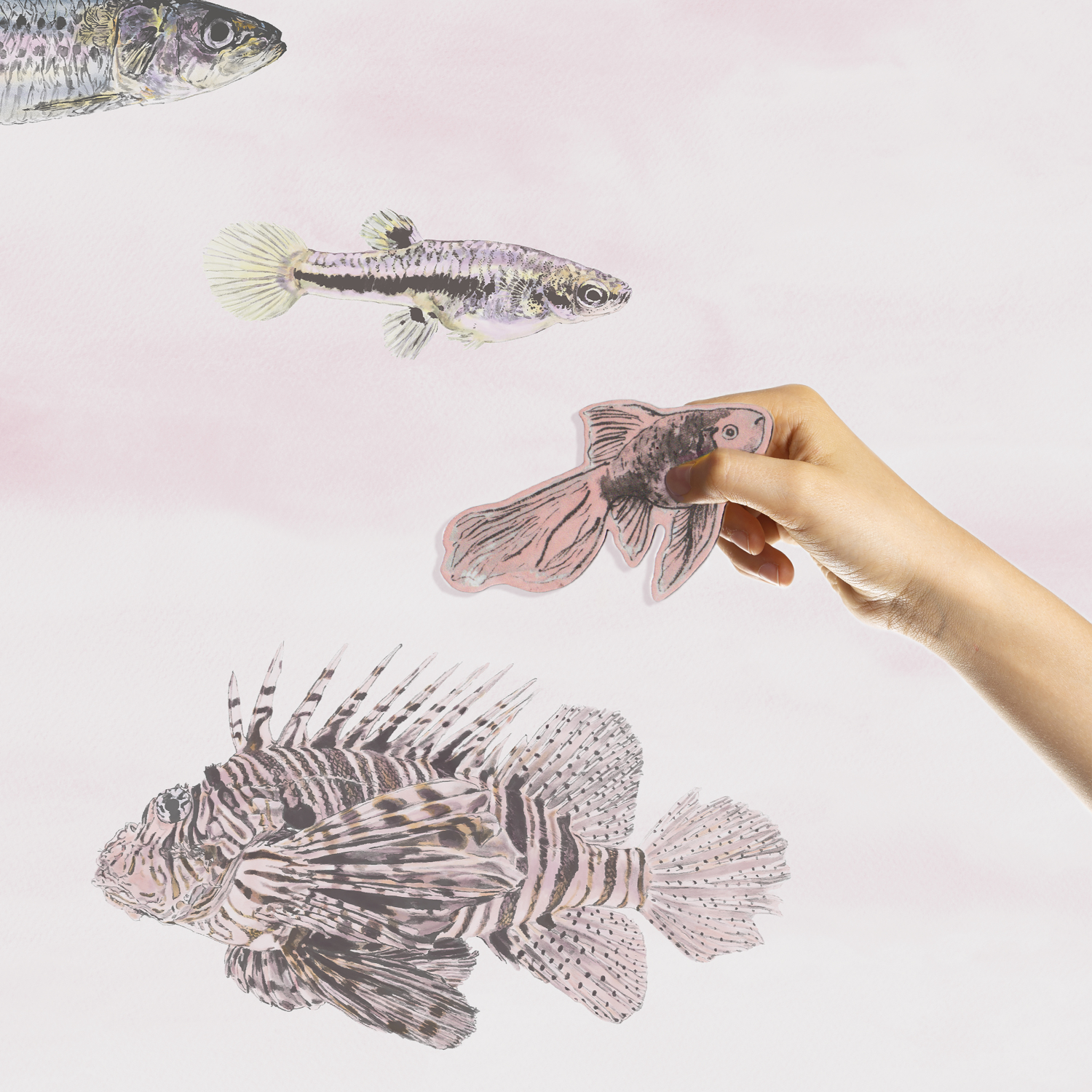 Tapete Classic Fish - Pink