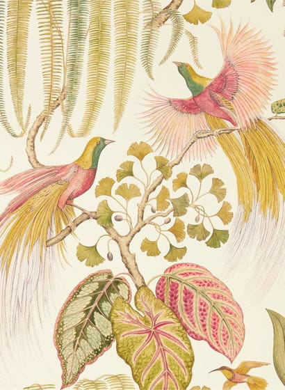 Tapete Bird of Paradise - Olive