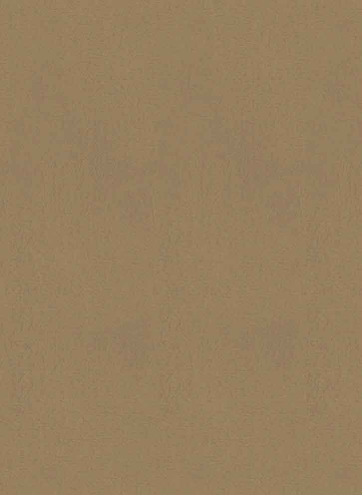 Tapete Parthénon - RM 1045 15