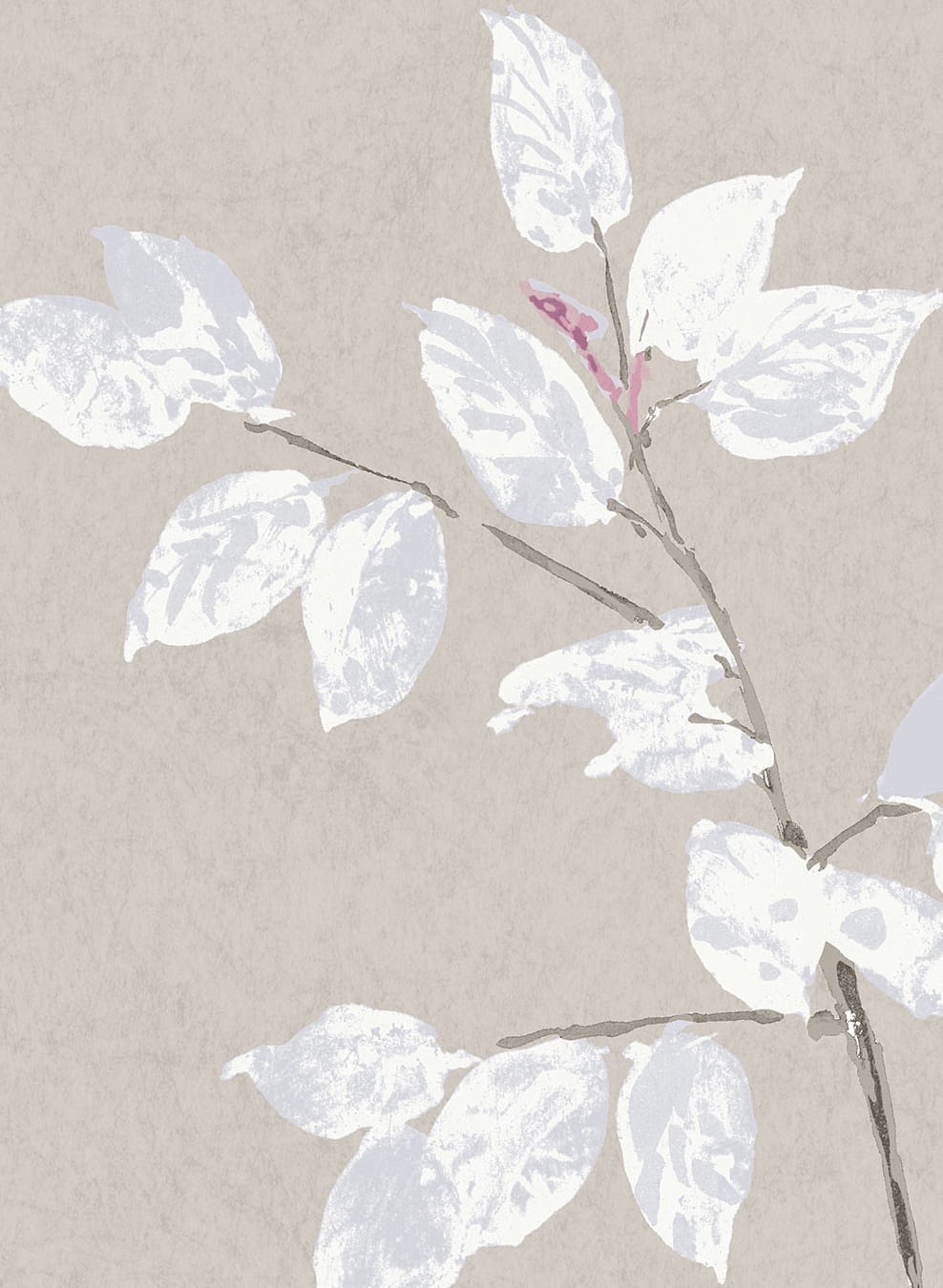 Tapete Beech - Linen