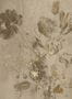 16493_01_KEK_Amsterdam_Fresco_Flowers_Uyterlinde_FU-051_-168606