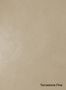 Terrastone-Fine-74-Desert-colour-sample-named-190695