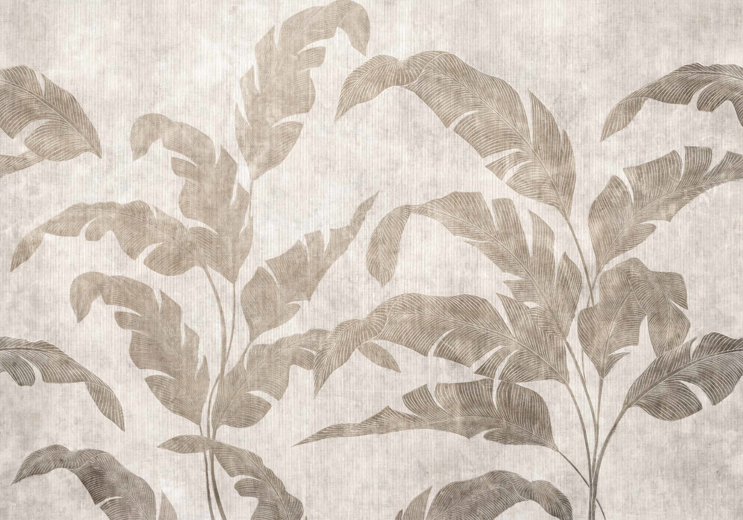 Wandbild Leaves Shadow - Stone