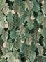 9771_1_Rebel_Walls_No_Time_to_Waste_R19271-101492