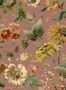 5400_04_House_of_Hackney_Avalon_Puce-Pink_1-WA-AVA-DI-PNK-XXX-68026