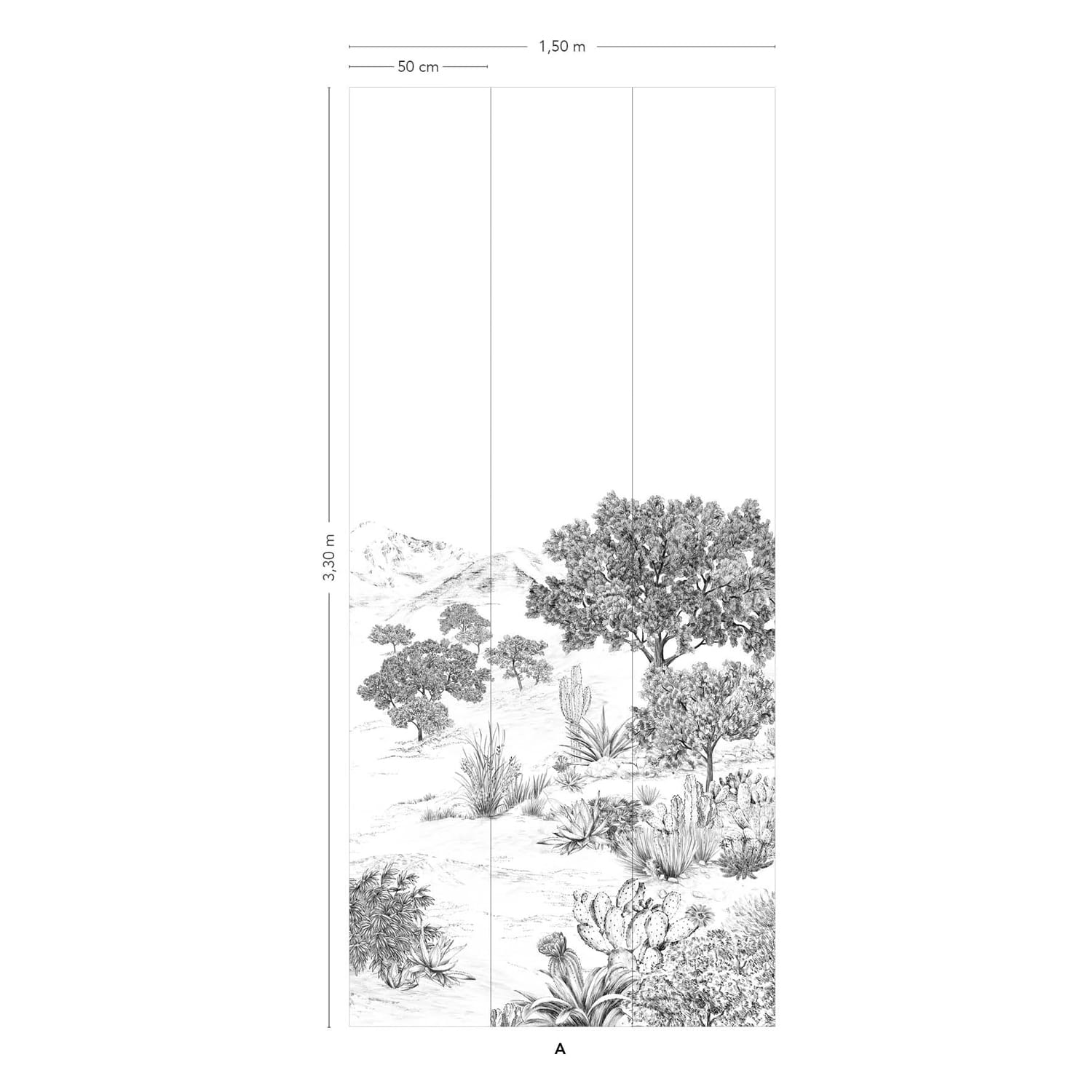 Wandbild Succulentes Grisaille - Panel A