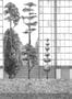 7435_2_Coordonne_Wandbild_Urban_Garden_8000077N-68900