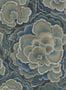 17231_01_House-of-Hackney_Trametes_Carex-210496