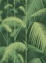 3355_2_cole-and-son_palm-jungle-icons_112_1003-29208