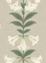 5702_1_cole_son_angels_trumpet_117-3007-59197