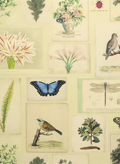 Tapete Flora and Fauna - Parchment