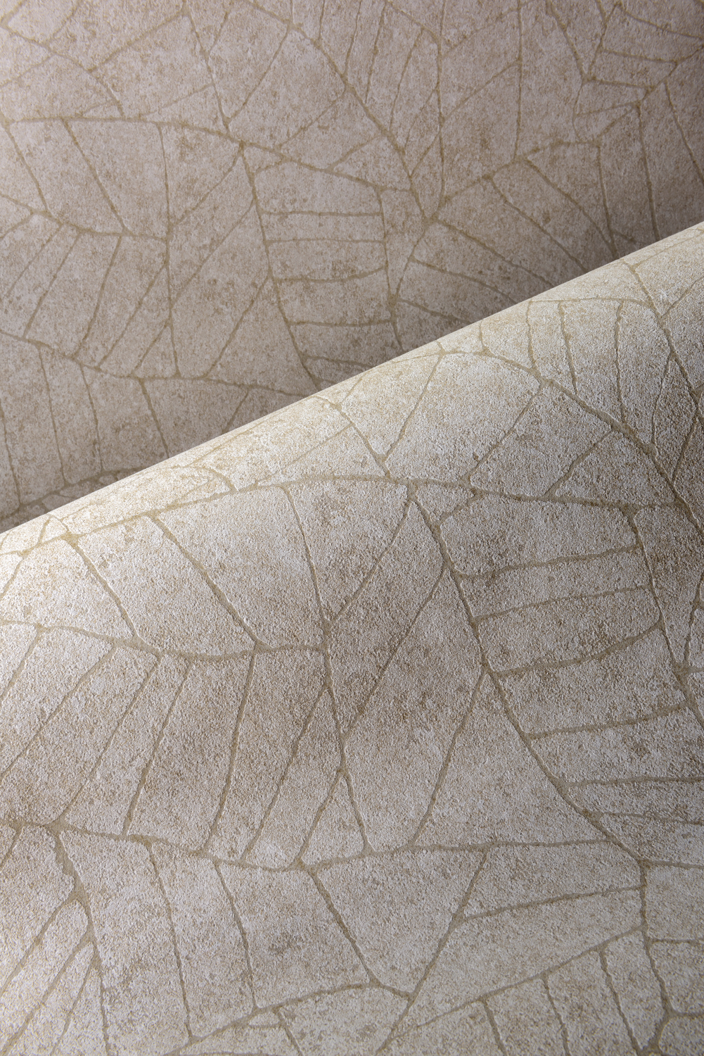 Tapete Fragment - 30333