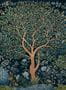 16681_04_Coordonné_Varanasi_Tree_D00154-193981
