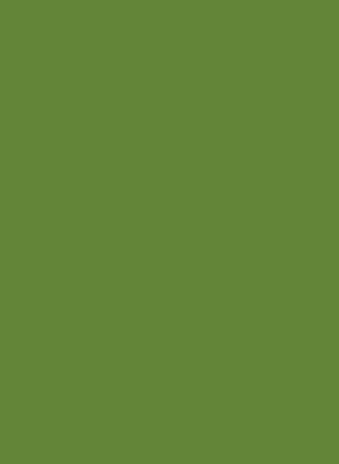 Intelligent All Surface Primer - Sage & Onions 288