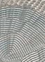 18241_02_Elitis_Calyptra_RM_1118_40-201423