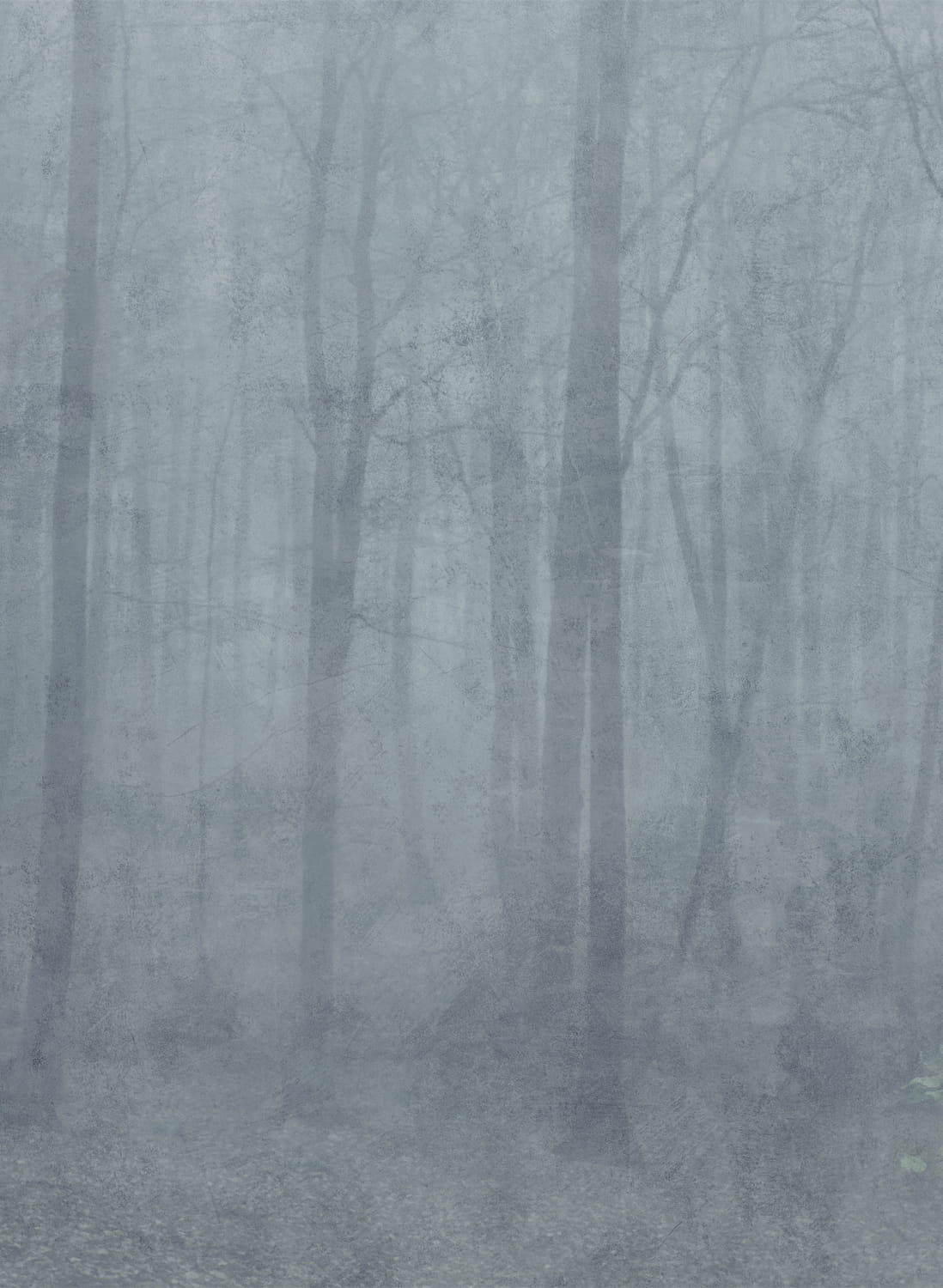 Wandbild Skog - Misty Blue