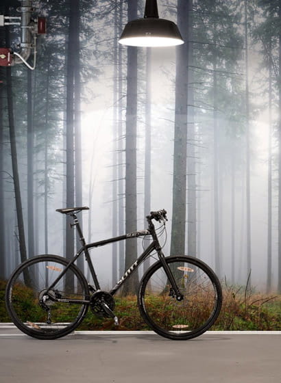 Wandbild Forest Glade