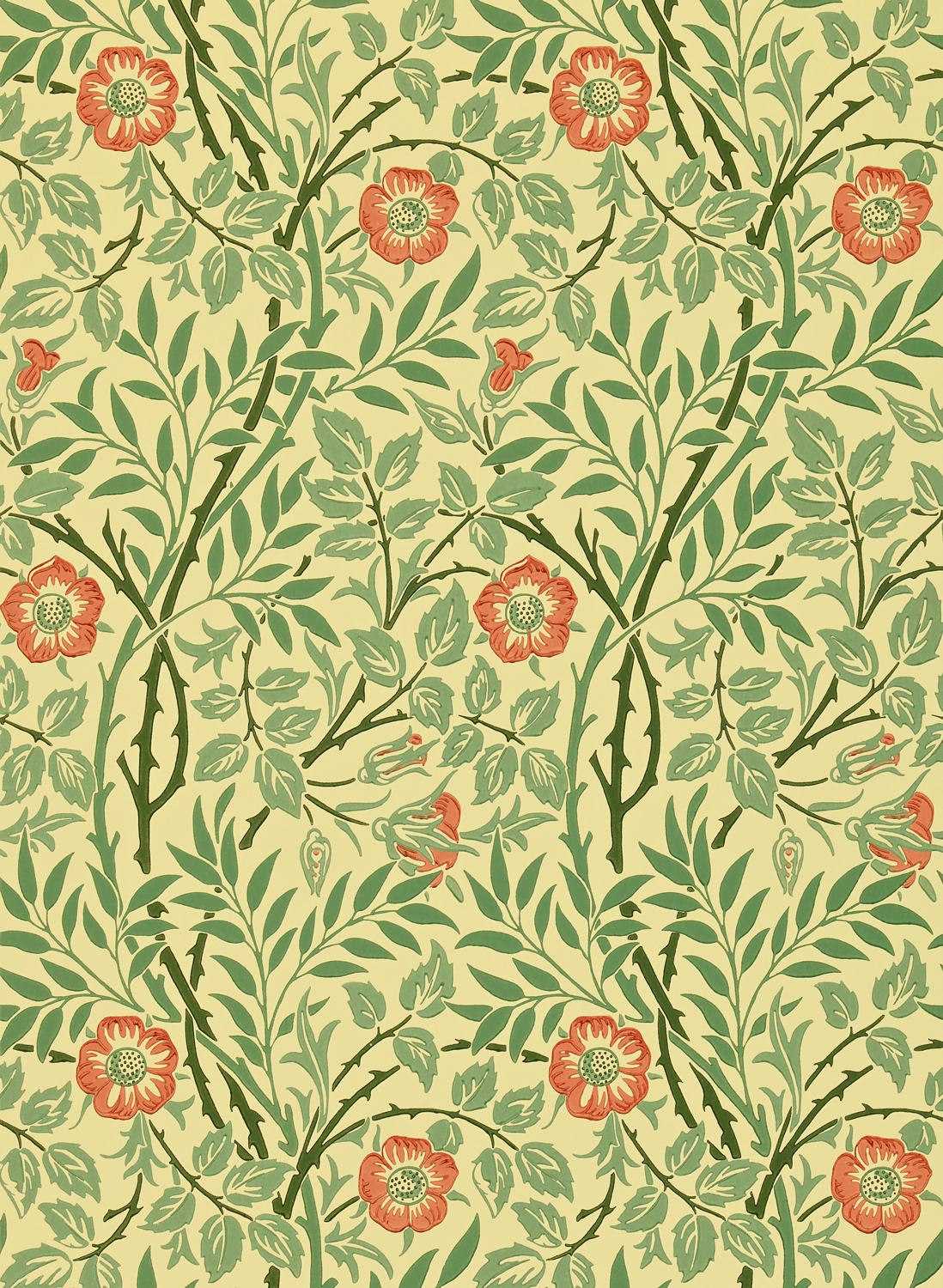 Tapete Sweet Briar - Green/ Rust