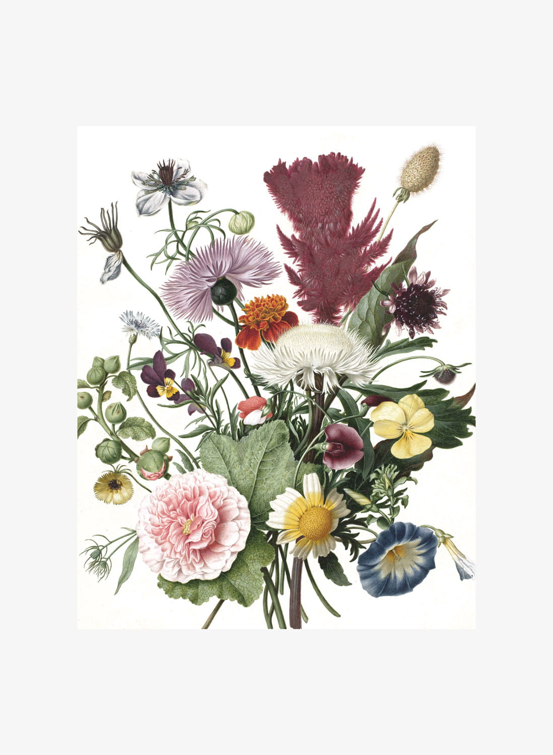 Papier peint panoramique Wild Flowers 1