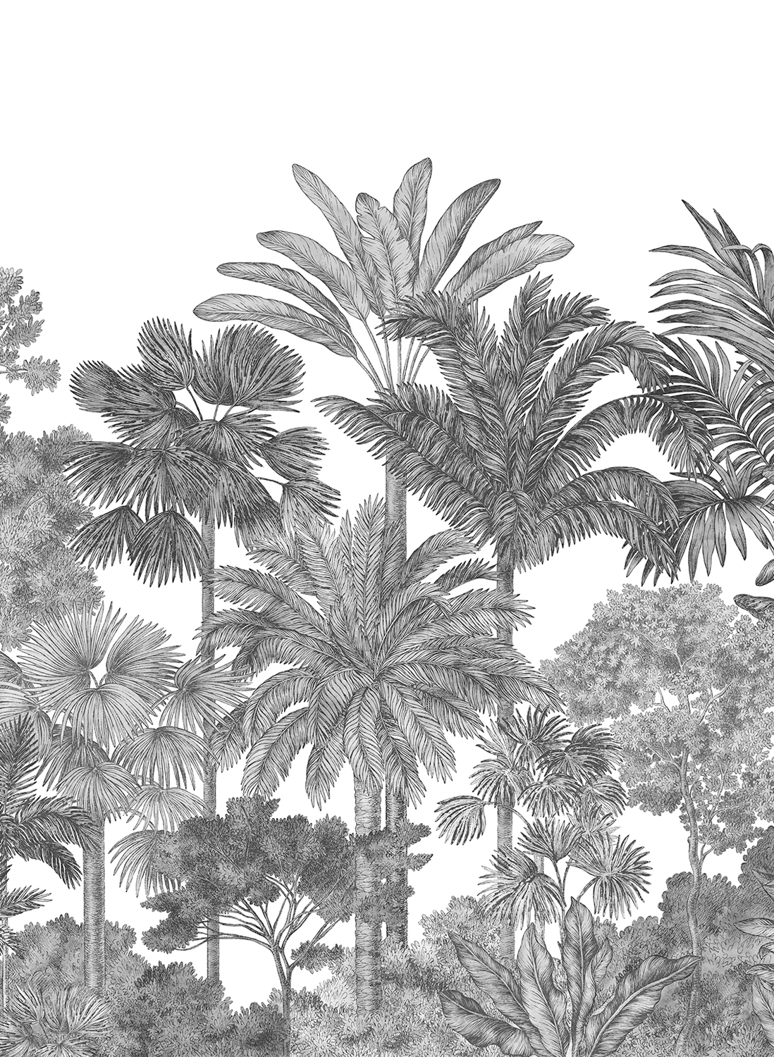 Wandbild Tropical Bellewood - Graphite