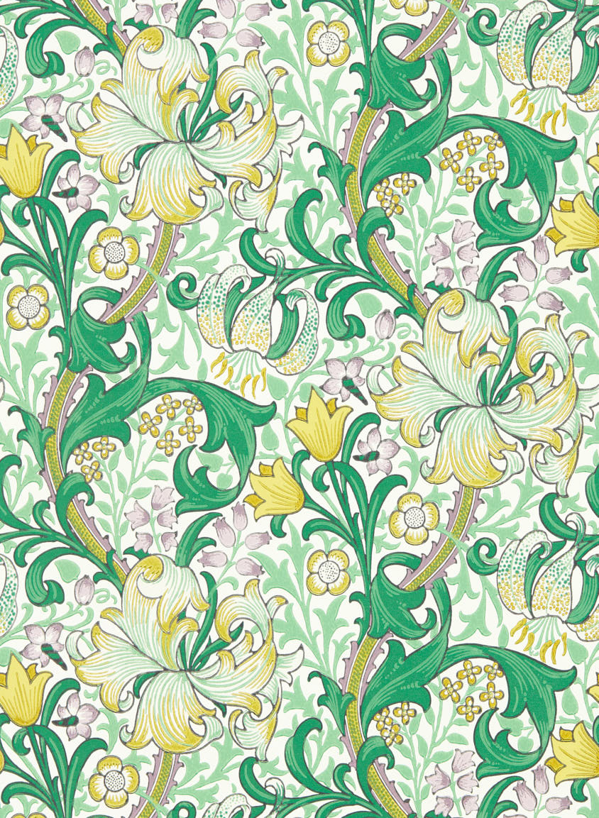 Tapete Golden Lily - Secret Garden