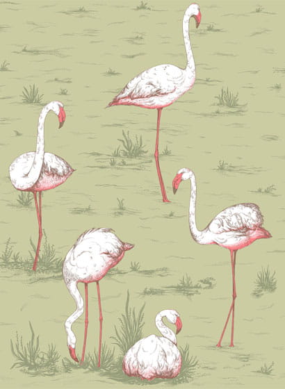 Tapete Flamingos - Olive