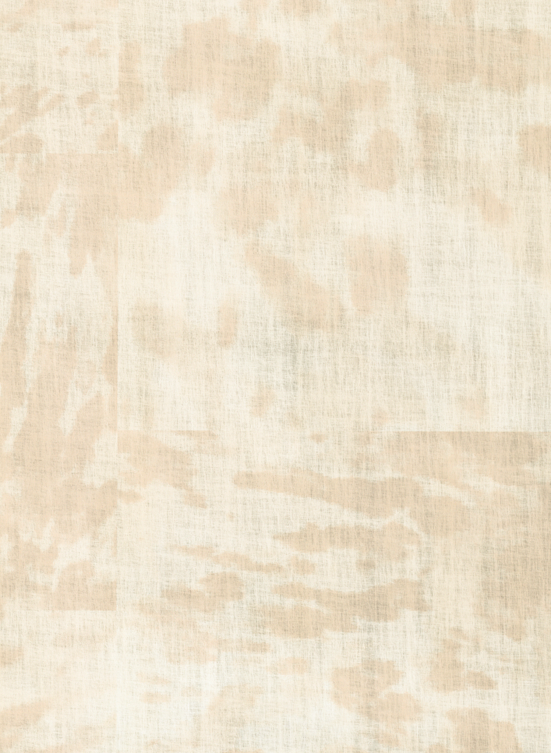 Papier peint Tortuga - SVR22