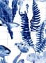 8502_5_Coordonne_Tapete_Bank_of_Fish_9500024-70037