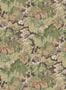 16388_01_Mulberry_Home_Country_Walk_FG123-A101-156559